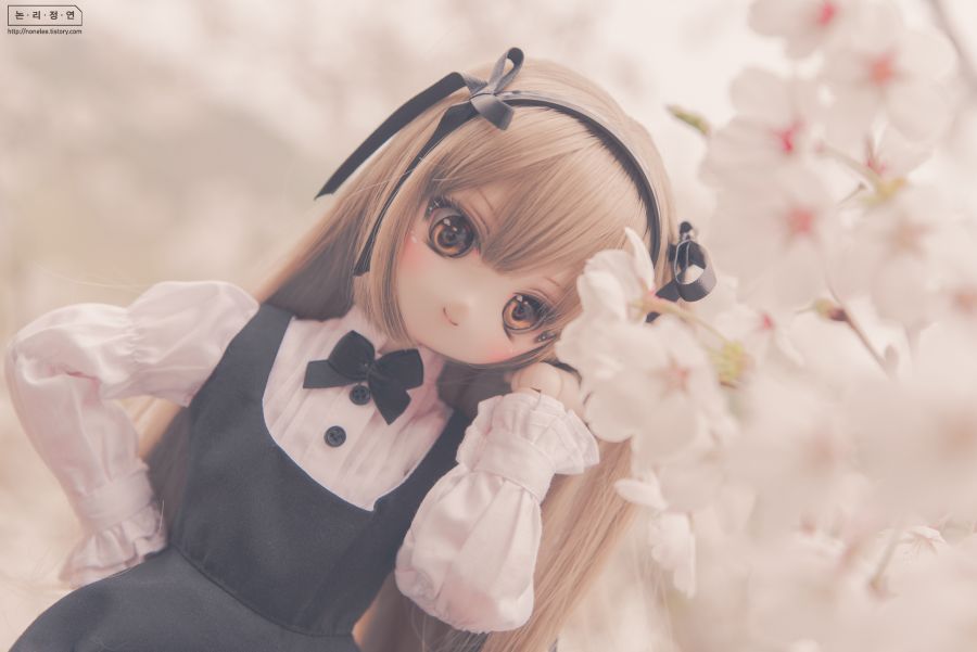 2019 인형사진 연말결산(초스압)_37.jpg