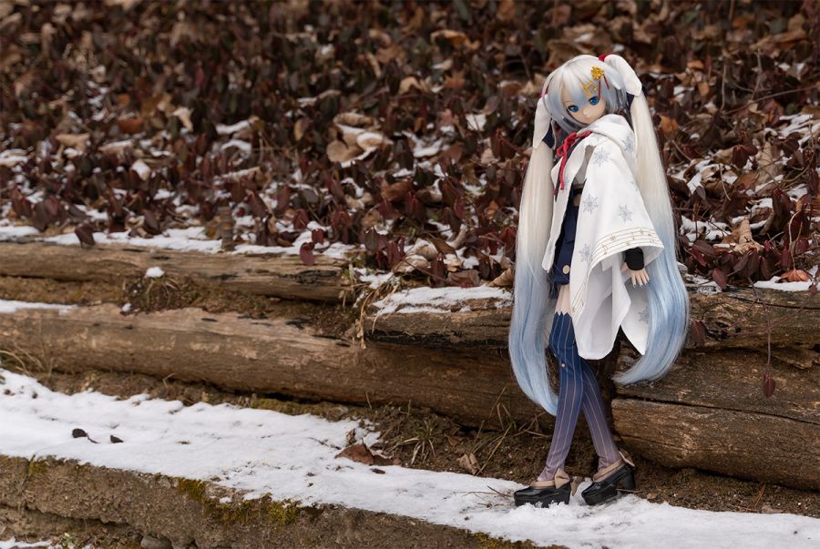 2019년 인형출사 연말정산 (스압주의)_6.png