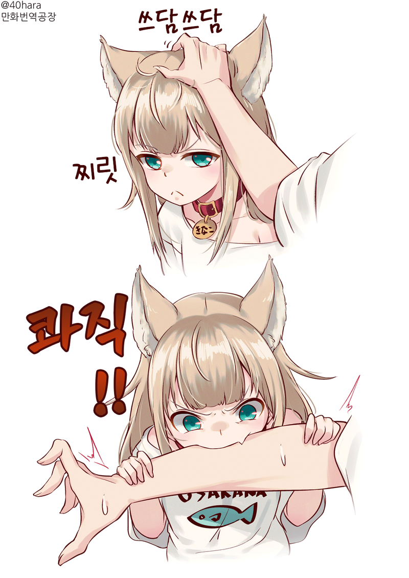 고양이 키우는 만화