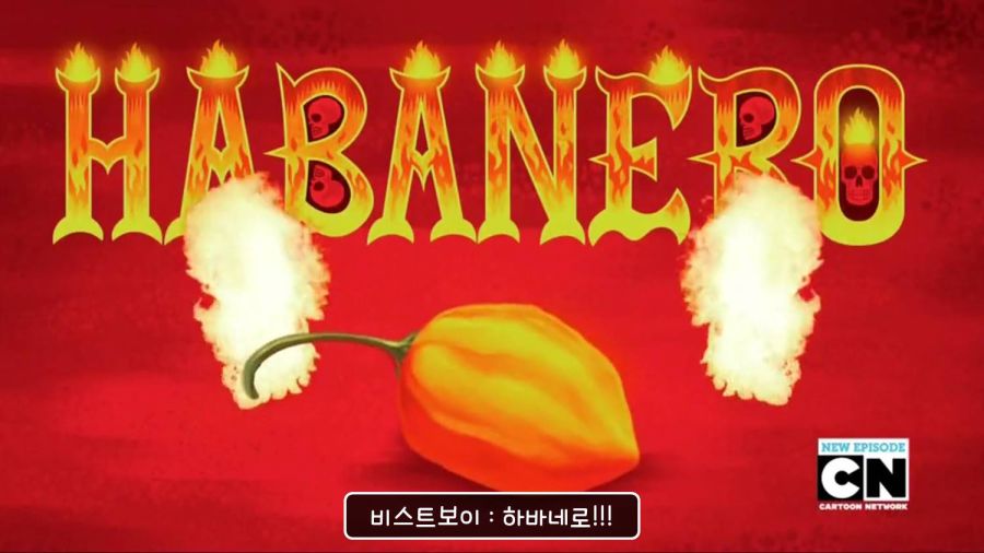 틴타고) 한국인들은 적당히라는걸 모르나..._43.jpg