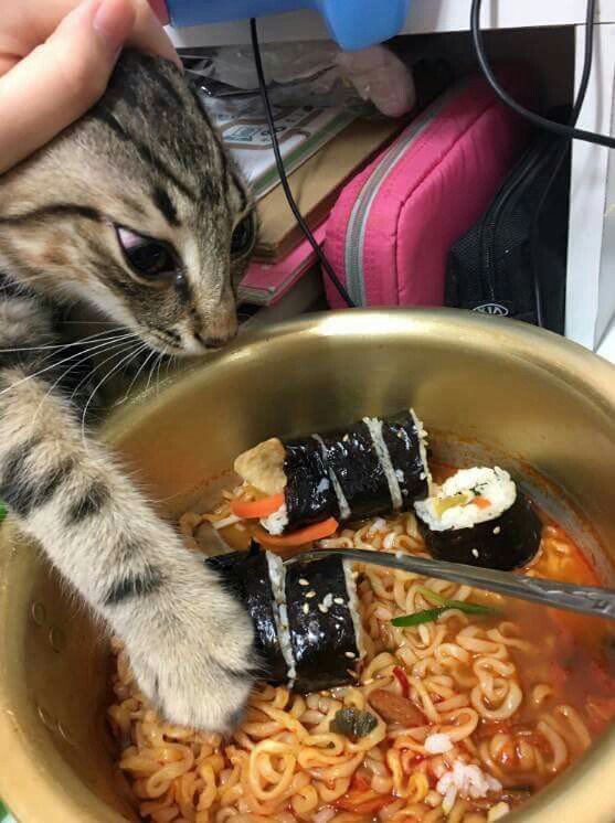 공포의 한입충.jpg_2.jpg
