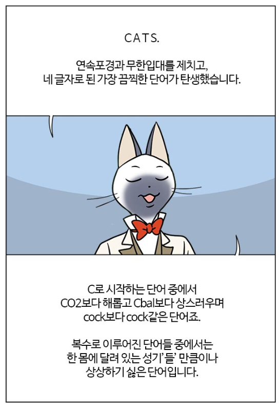 4글자로된 가장 끔찍한 단어_2.png