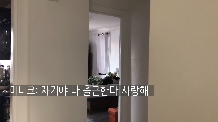 Screenshot_2020-01-12 #1 뉴욕 직장인 VLOG 꼬북칩 먹방 머신 New York Office Worker Vlog Part 1 - YouTube(11).png