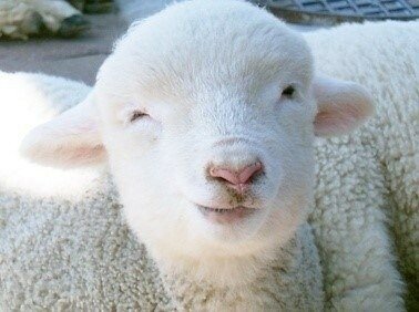 ㅋㅋ 황달 자냐?_1.jpeg