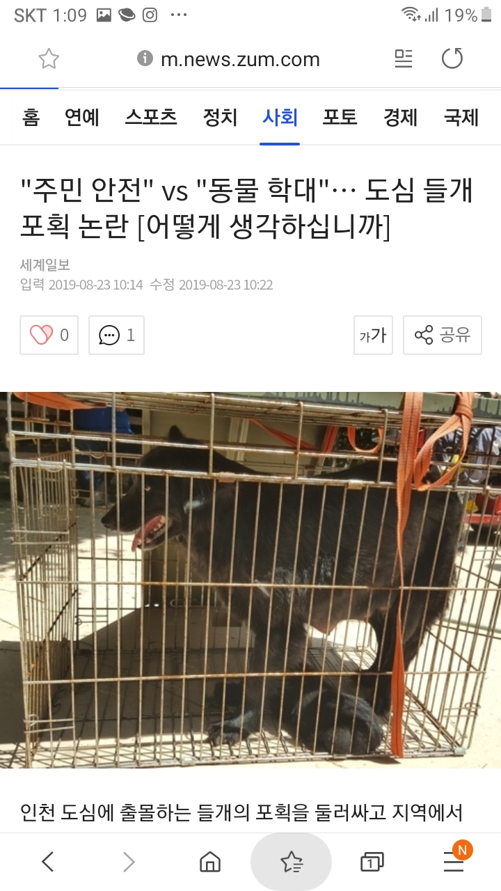 학대다 vs 아니다라고 논란된 포획_1.jpg