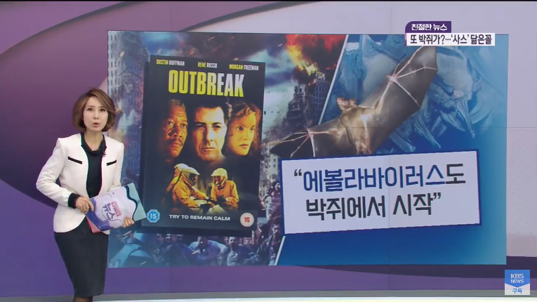 Screenshot_2020-01-24 ‘사스’와 닮은 꼴…‘박쥐의 저주’ 시작됐나 KBS뉴스(News) - YouTube(3).png