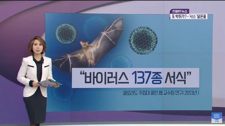 Screenshot_2020-01-24 ‘사스’와 닮은 꼴…‘박쥐의 저주’ 시작됐나 KBS뉴스(News) - YouTube.png