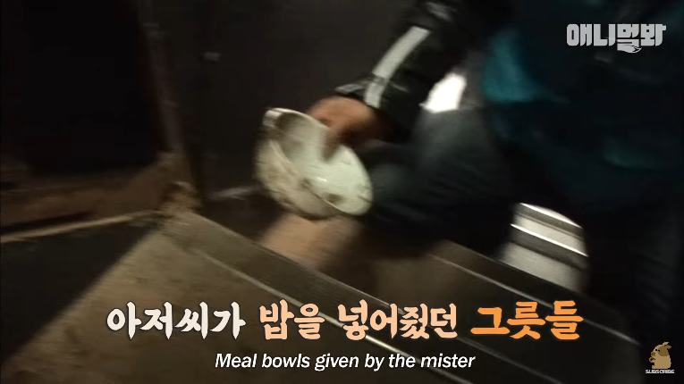 Screenshot_2020-01-24 벽 속에서 2년 만에 꺼낸 고양이 (치고는 통통한데 )ㅣ Cat Living Inside An Enclosed Wall With No Exit For 2 Years (17).png