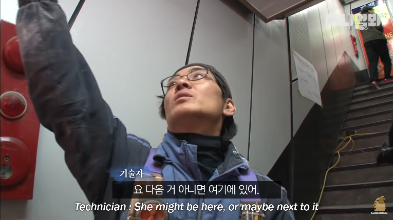 Screenshot_2020-01-24 벽 속에서 2년 만에 꺼낸 고양이 (치고는 통통한데 )ㅣ Cat Living Inside An Enclosed Wall With No Exit For 2 Years (24).png