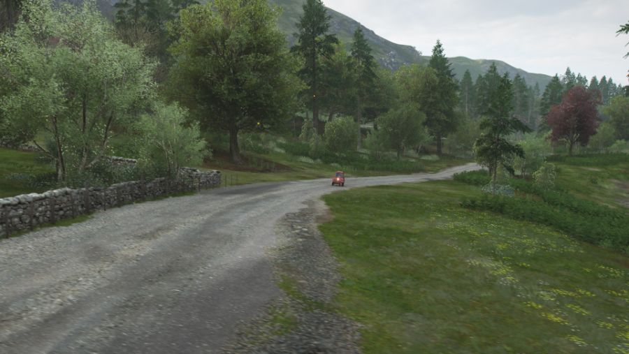 Forza Horizon 4 (7).jpg