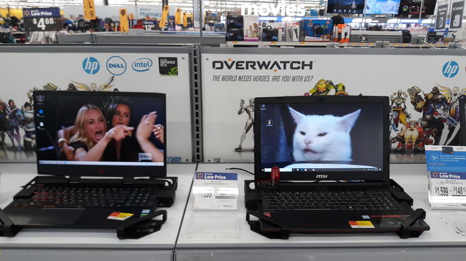 (스압) 그 고양이 밈 모음.jpg_12.jpg