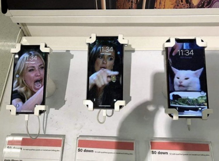 (스압) 그 고양이 밈 모음.jpg_13.jpg