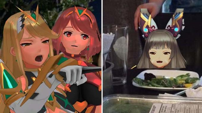 (스압) 그 고양이 밈 모음.jpg_36.jpg