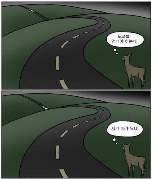 우리나라 고라니 특)_1.jpg