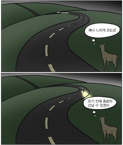 우리나라 고라니 특)_2.jpg