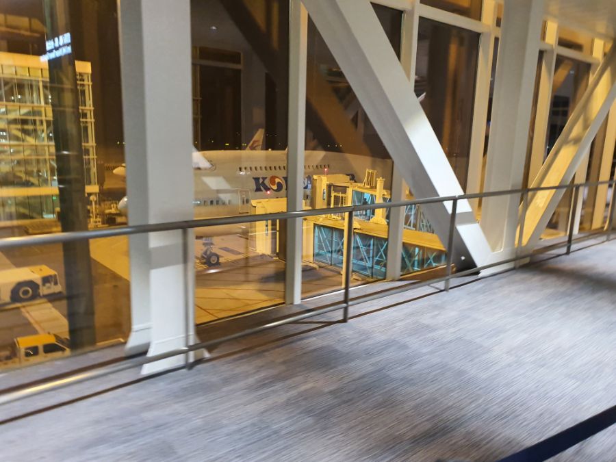 이스케이프 프롬 우한 끝났음ㅜㅠ_1.jpg