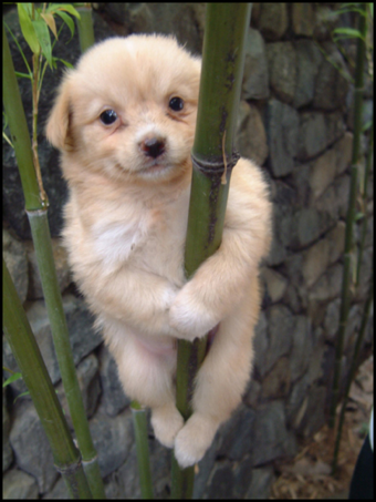 고대 디씨의 성유물들.jpg_3.png