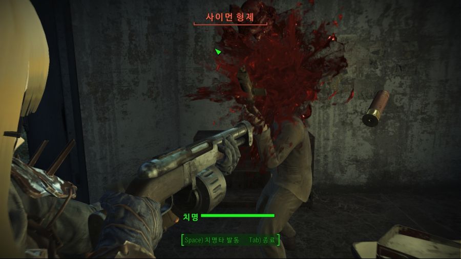 Fallout4_ (22).jpg