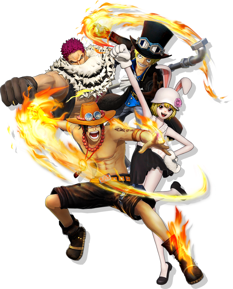 원피스 해적무쌍 코인 (98) 사진