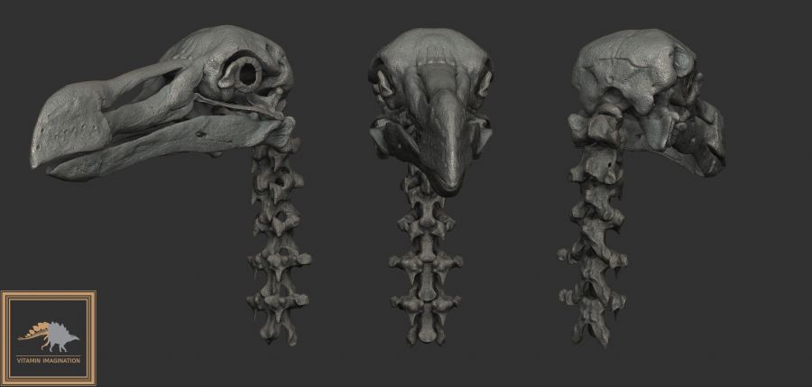 ZBrush Document5.jpg