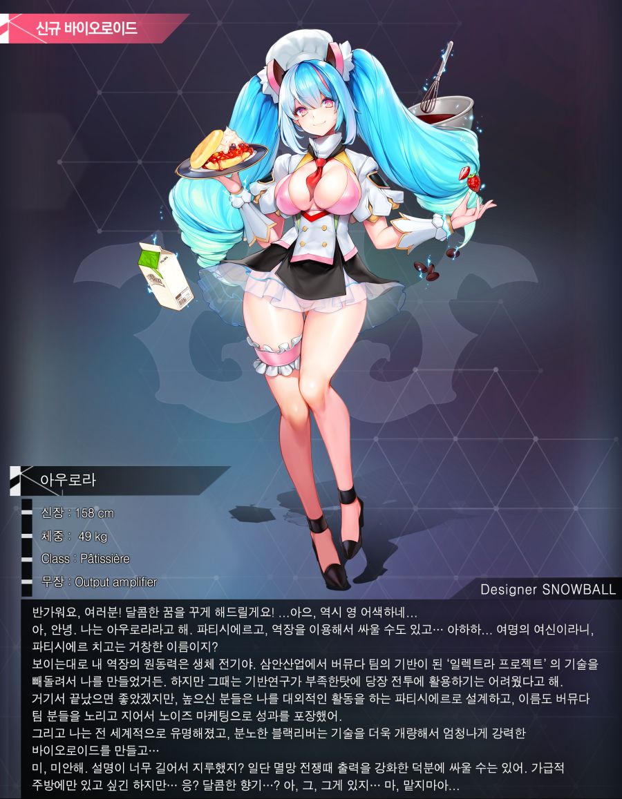 아우로라소개용.png