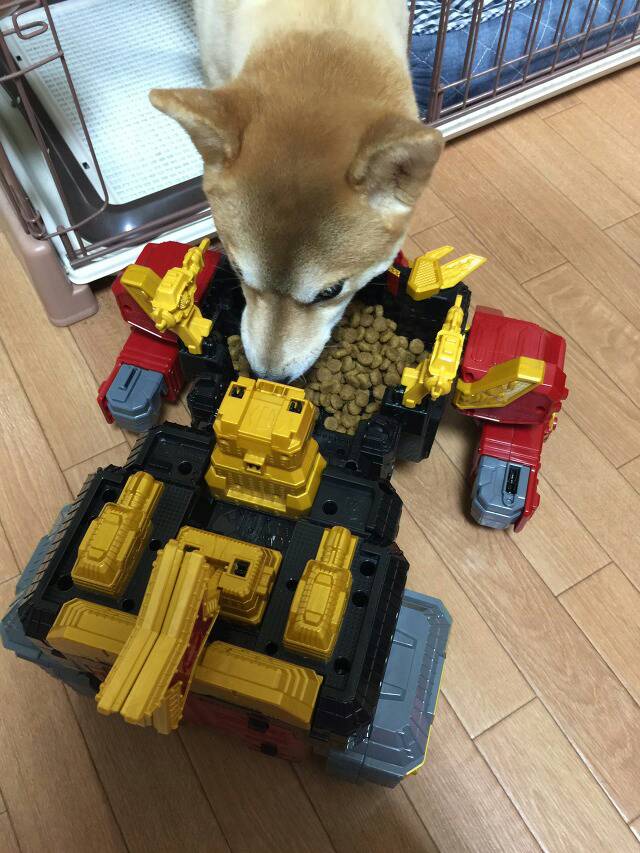 실용성있는 로봇 장난감_2.jpg