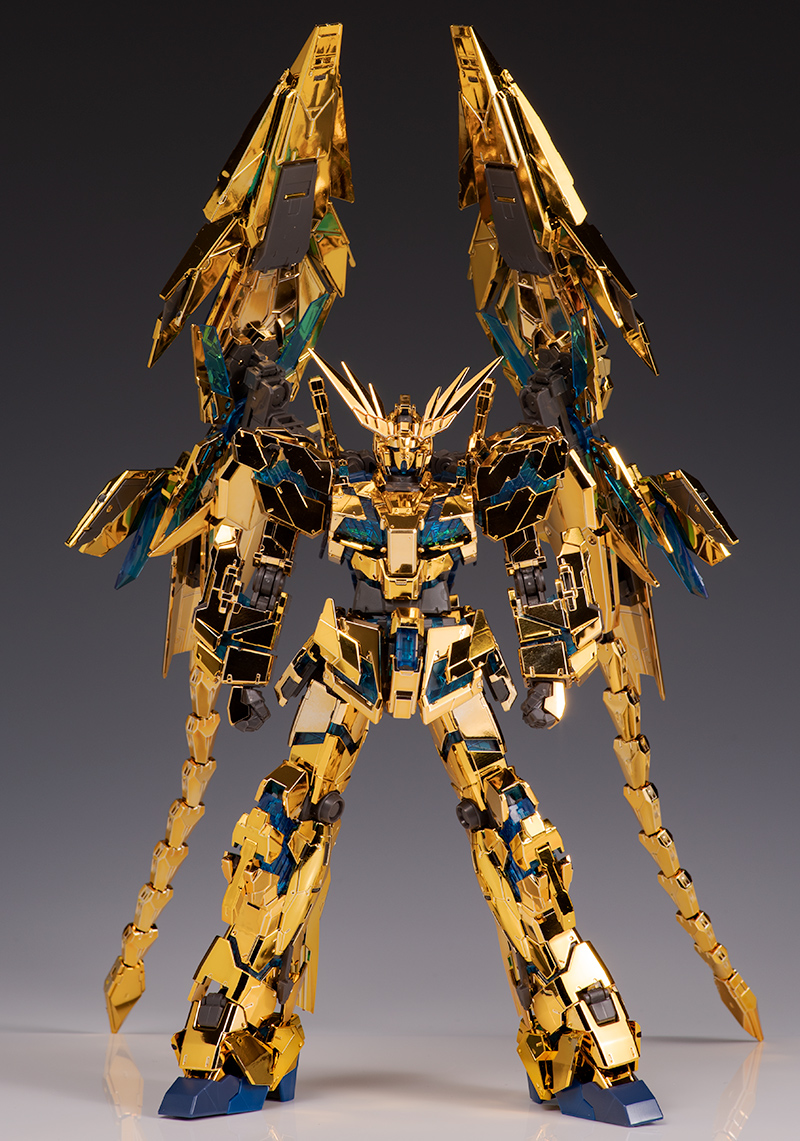 rg_phenex012.jpg