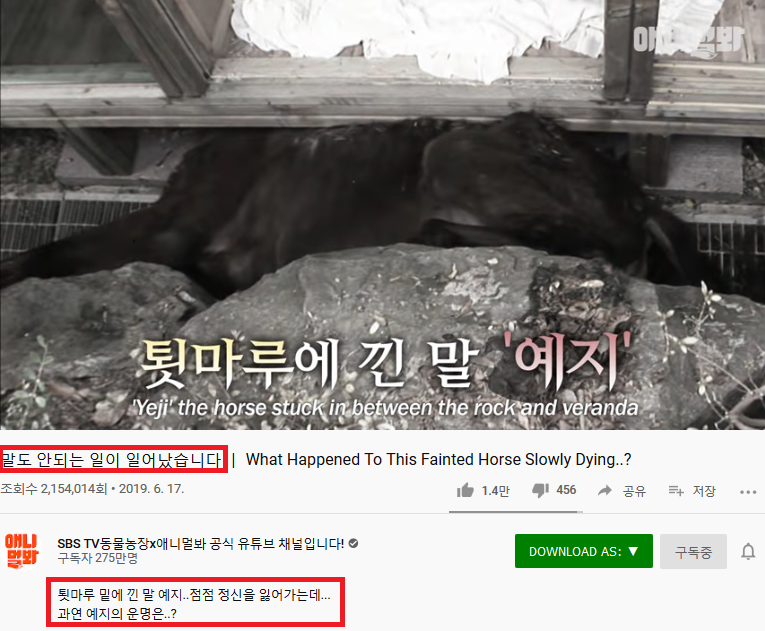 Screenshot_2020-02-17 말도 안되는 일이 일어났습니다 ㅣ What Happened To This Fainted Horse Slowly Dying .png