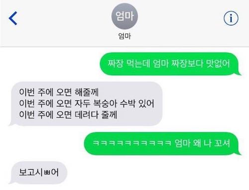 엄마 왜 나 꼬셔 ㅋㅋㅋㅋ_1.jpeg