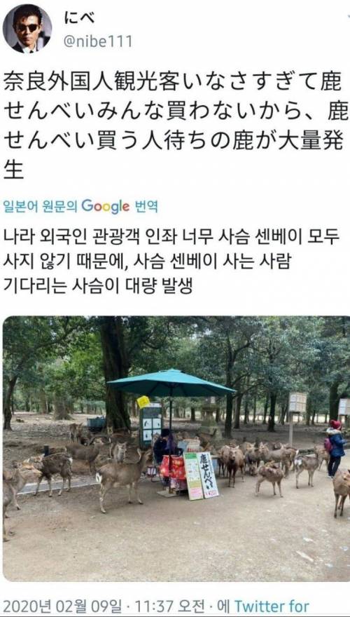 관광객이 줄어 곤란한 나라의 사슴_1.jpg