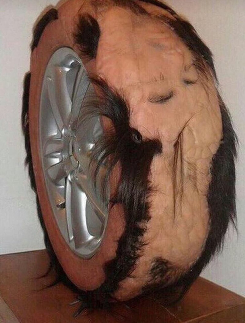 cursed-image-of-car-wheel-covered-in-flesh-and-hair.jpeg