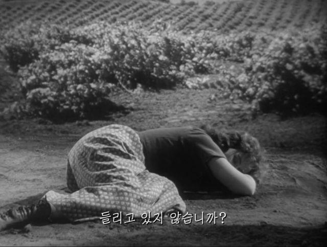 국뽕으로 얼룩진 닥터후 내한 참사.youtube_28.jpg