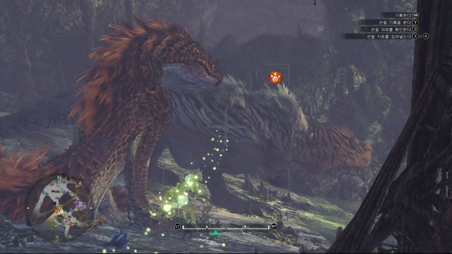 MHW_IB_001.jpg