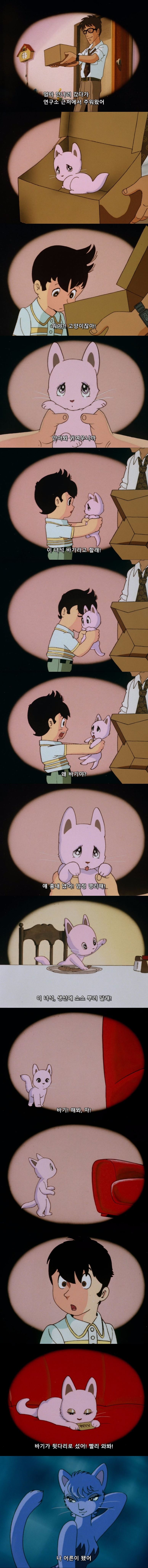 흔한 냥줍하는.manhwa_1.jpg