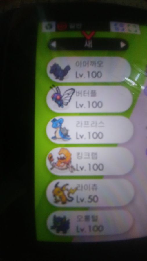 더블배틀: 대놓고 전기를 유도하는 5거다이맥스 파티 | 포켓몬스터 스칼렛/바이올렛 | RULIWEB 더블배틀: 대놓고 전기를 유도하는 5거다이맥스 파티 | 포켓몬스터 스칼렛/바이올렛 | Ruliweb