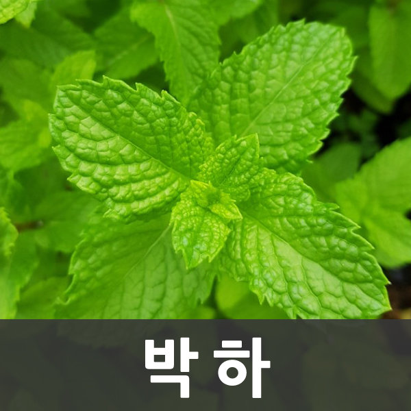 내가 생각해봐도 루리웹은 scp이거나 | 유머 게시판 | 루리웹 내가 생각해봐도 루리웹은 scp이거나 | 유머 게시판