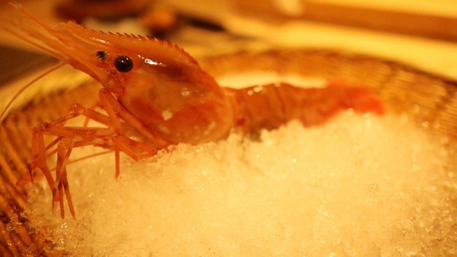스압주의 스시 코우지 디너 오마카세