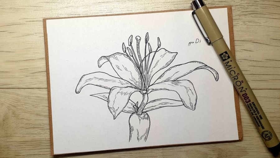 나리, 백합을 제 스타일대로 그려봤습니다._1.jpg