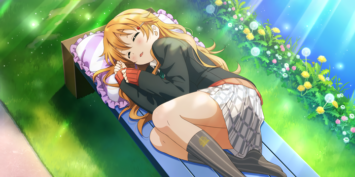 206SR-Konoe-Kanata-Zzz-zz-zzz-Rainbow-Rose-oOL3Cm.png