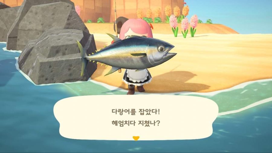 청새치랑 산갈치, 다랑어 잡았어요!_4.jpg