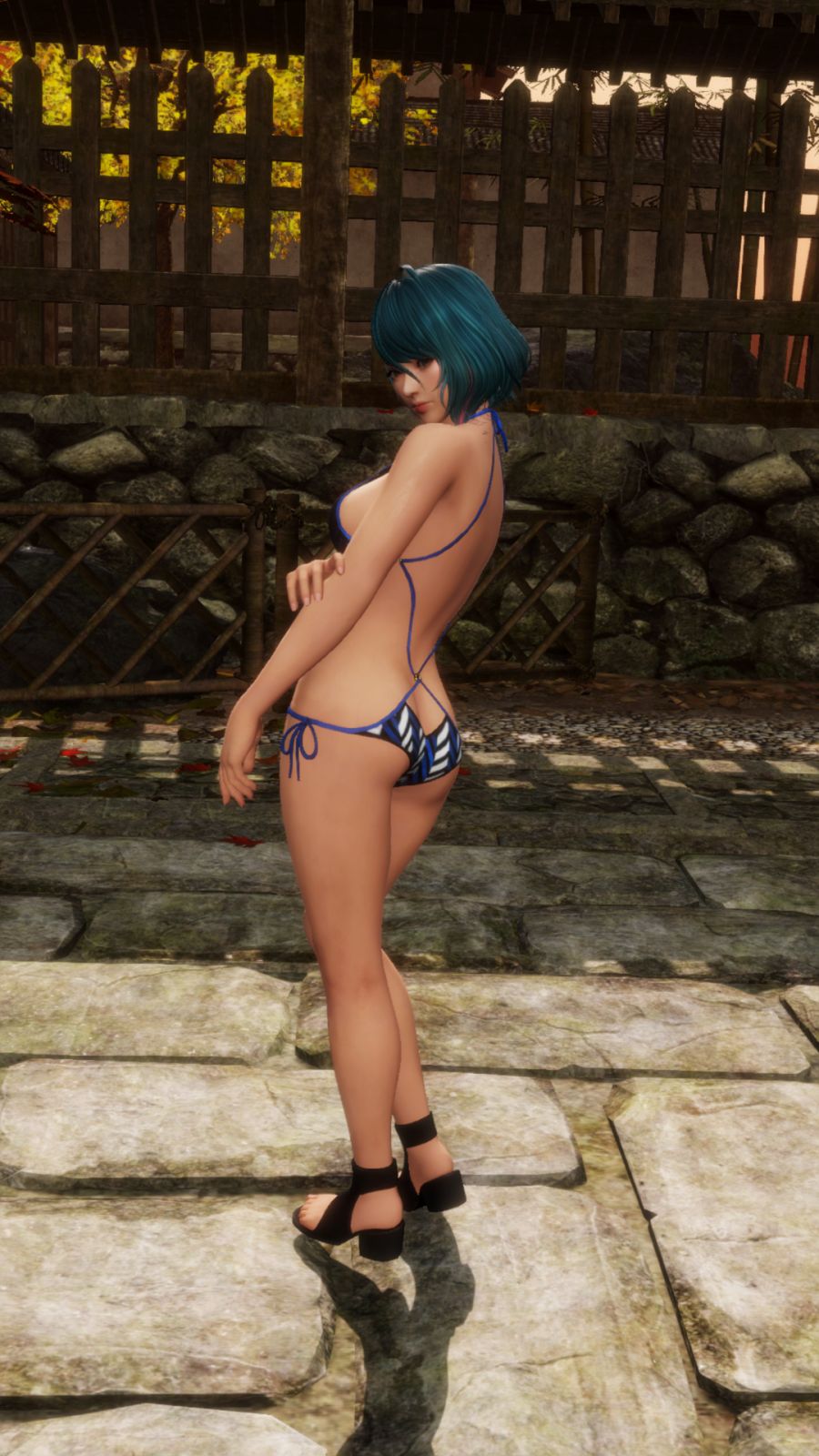 DEAD OR ALIVE 6 Core Fighters (5).png