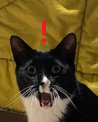 놀란 표정 짤 3개 중에 뭐가 가장 낫냐?_1.jpg