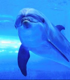 공사판 그리스 로마 신화 : "포세이돈님! 바다를 진정시켜주세요!_37.jpg