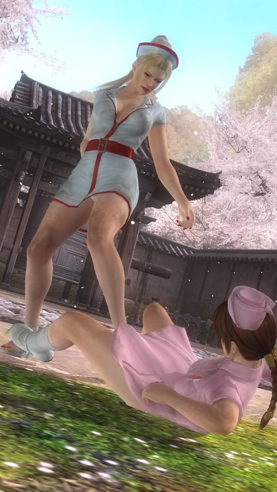 DEAD OR ALIVE 5 Last Round_20200412091644.jpg