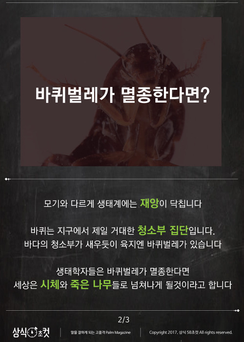만약 모기와 바퀴벌레가 멸종한다면.JPG_3.jpg