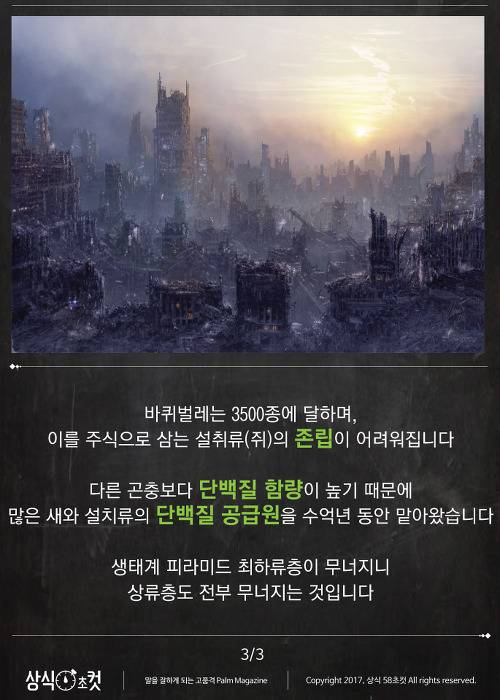 만약 모기와 바퀴벌레가 멸종한다면.JPG_4.jpg