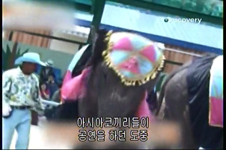 파괴의 찰나(31회).mp4_20200415_233550.432.jpg