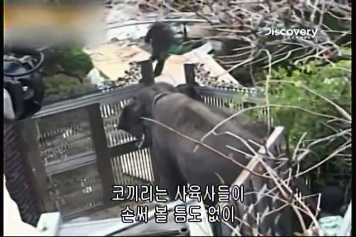 파괴의 찰나(31회).mp4_20200415_233603.479.jpg