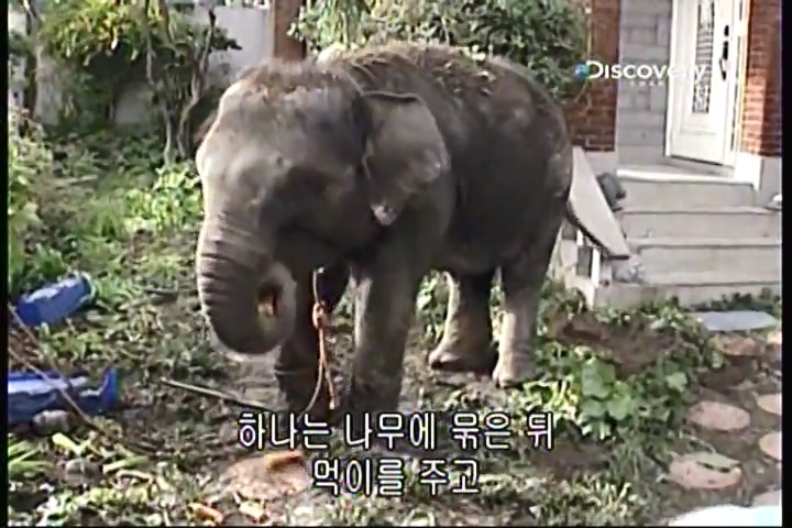 파괴의 찰나(31회).mp4_20200415_233627.081.jpg