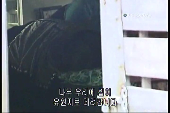 파괴의 찰나(31회).mp4_20200415_233706.071.jpg